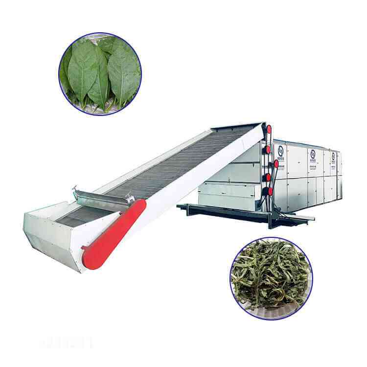 leaf continuous mesh belt dryer